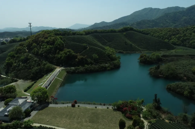 建設(shè)智慧生態(tài)茶園，托普云農(nóng)為西湖龍井茶“保駕護(hù)航”