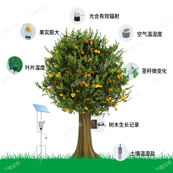 植物生理生態(tài)及環(huán)境監(jiān)測(cè)系統(tǒng)