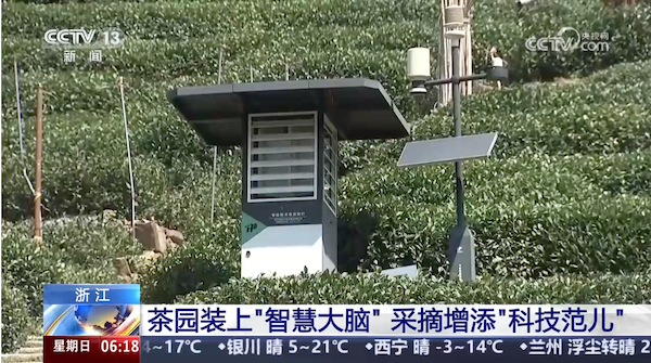 央視、人民網(wǎng)等權(quán)威媒體聚焦西湖龍井：托普云農(nóng)“黑科技”點(diǎn)亮千年茶香智變之路