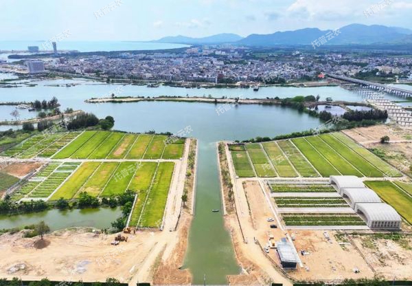 耐鹽堿水稻科研試驗基地建設(shè)解決方案